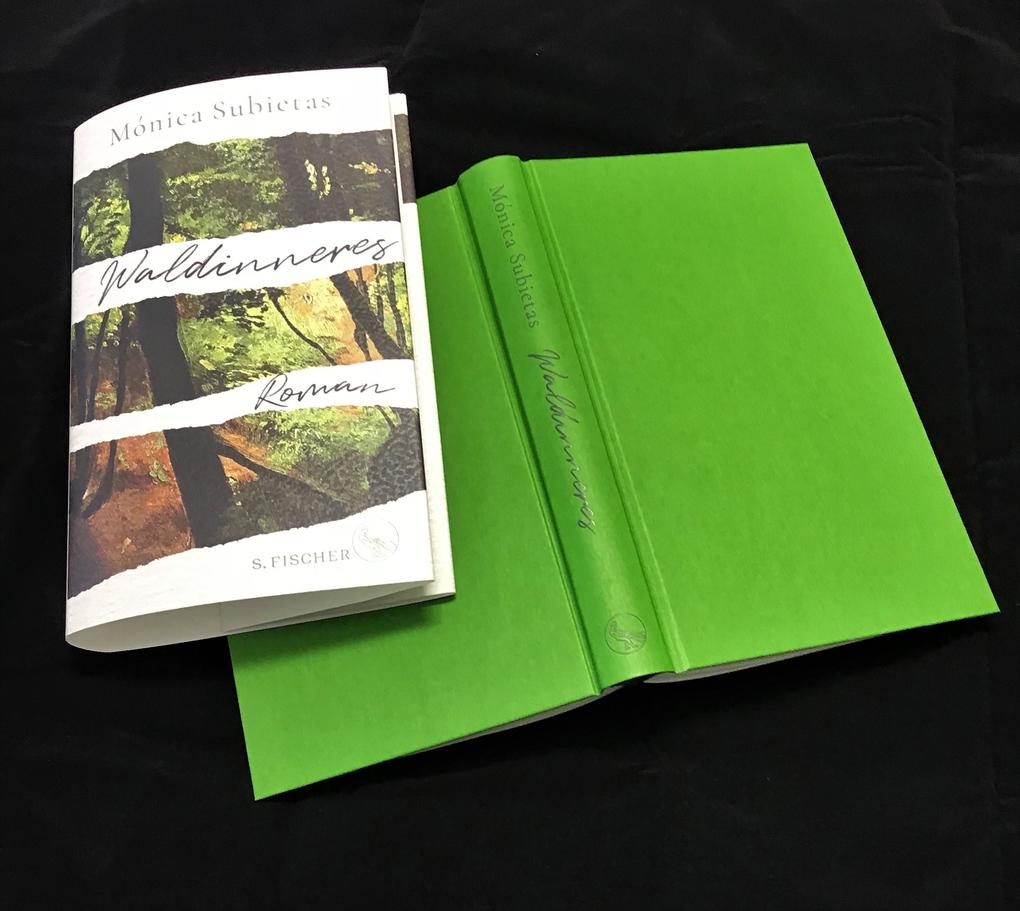 Weitere Ansicht: Waldinneres | Mónica Subietas