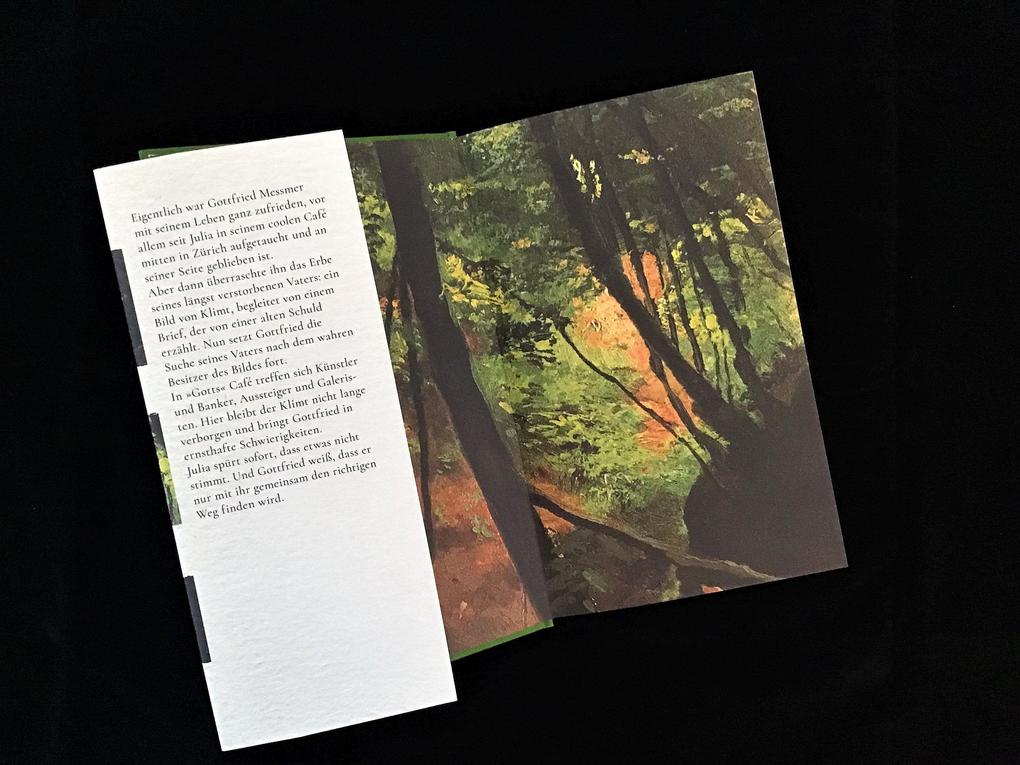 Weitere Ansicht: Waldinneres | Mónica Subietas