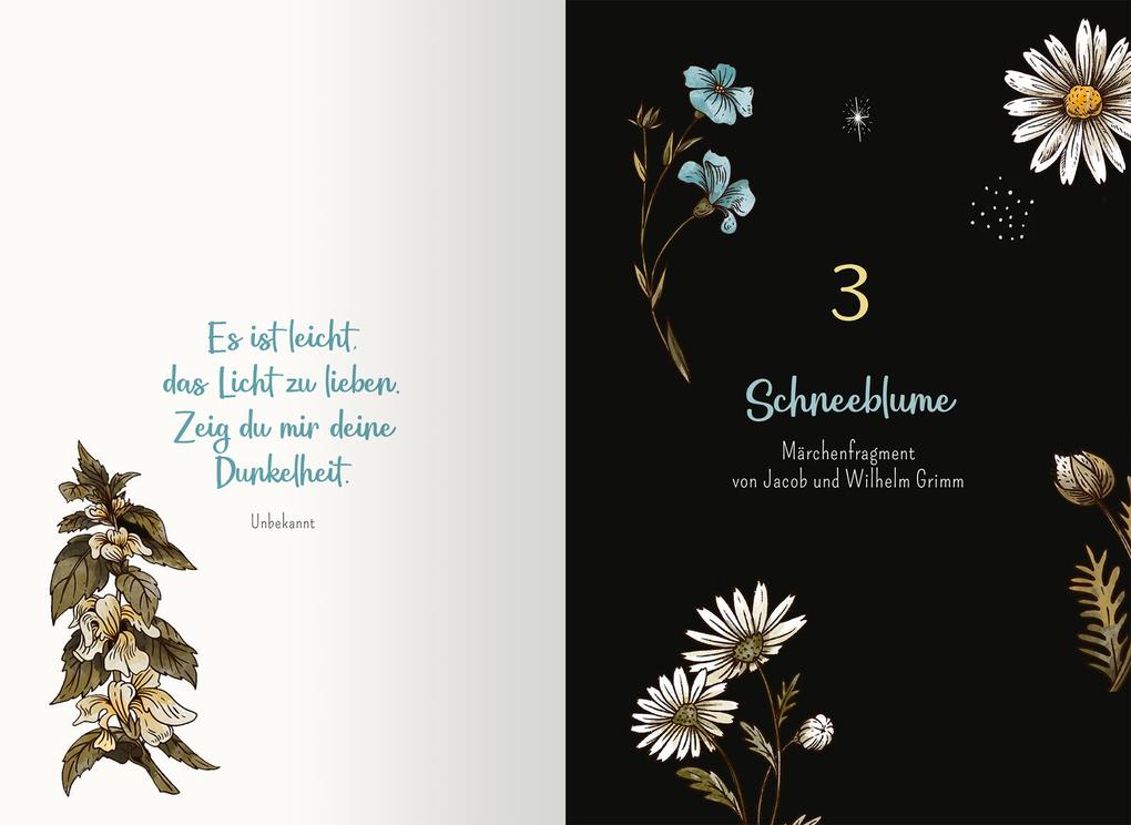 Weitere Ansicht: Von Hexen und Raunächten. 24 magische Geschichten