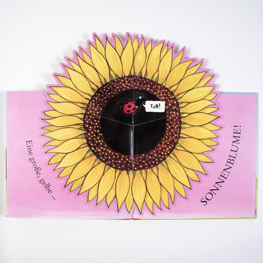Weitere Ansicht: Sam pflanzt Sonnenblumen | Axel Scheffler, Kate Petty