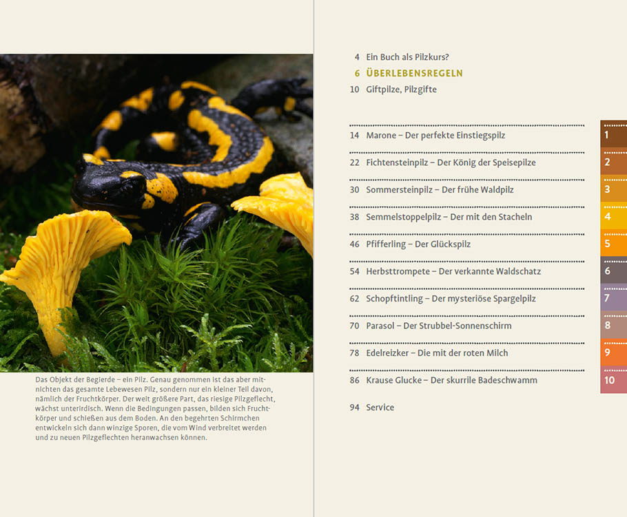Weitere Ansicht: 10 Pilze | Gerhard Schuster, Christine Schneider