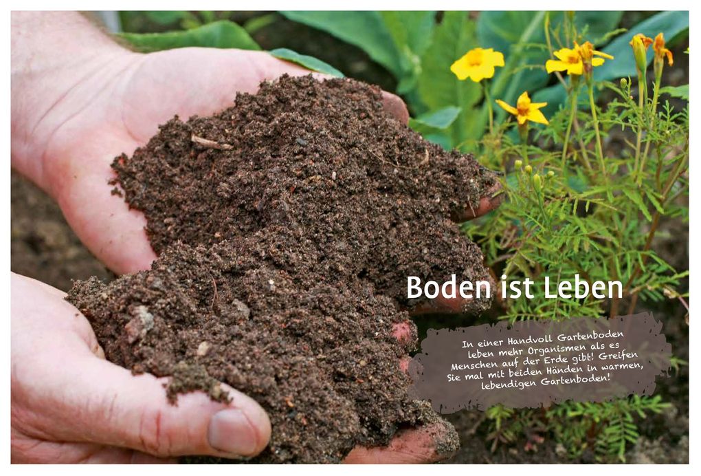Weitere Ansicht: Naturgarten ganz einfach | Heike Boomgaarden, Bärbel Oftring, Werner Ollig