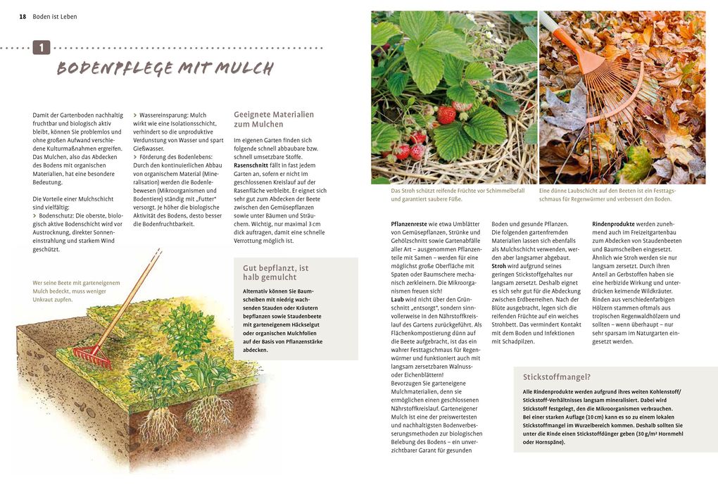 Weitere Ansicht: Naturgarten ganz einfach | Heike Boomgaarden, Bärbel Oftring, Werner Ollig