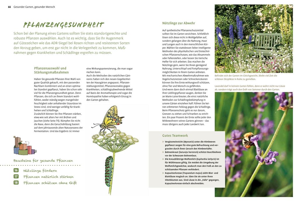 Weitere Ansicht: Naturgarten ganz einfach | Heike Boomgaarden, Bärbel Oftring, Werner Ollig