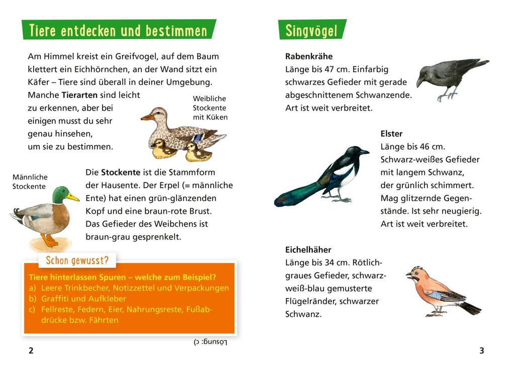 Weitere Ansicht: Pixi Wissen 30: VE 5 Tiere erkennen | Hanna Sörensen