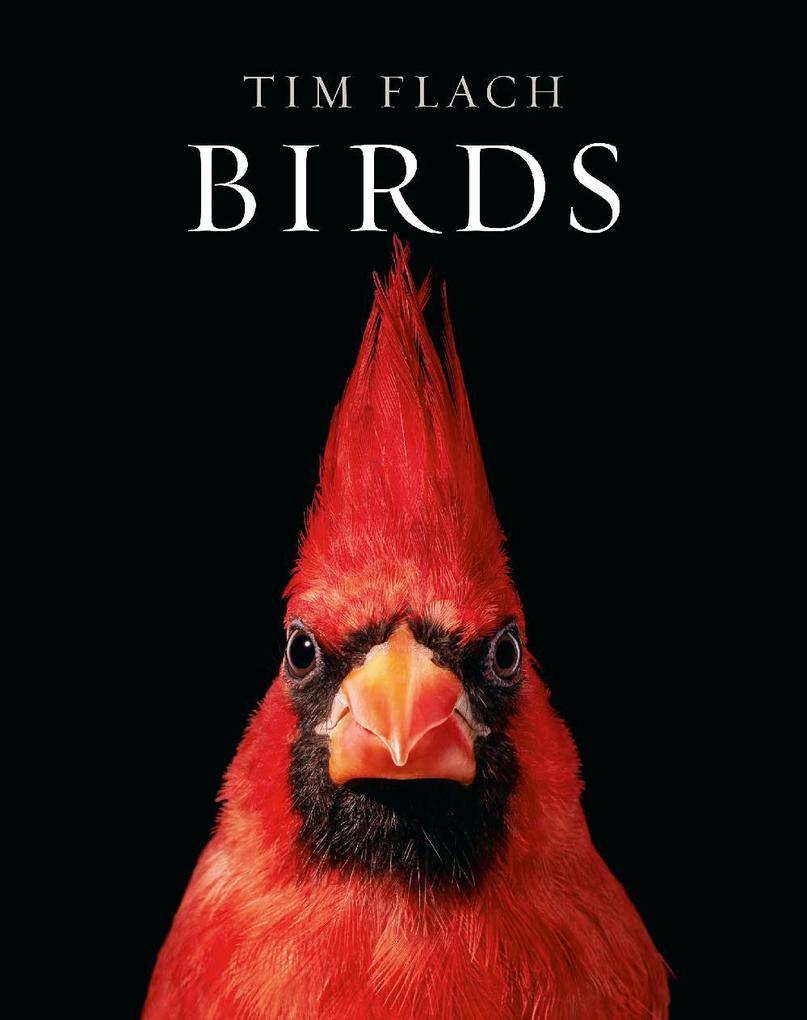 Produktbild: Birds | Tim Flach