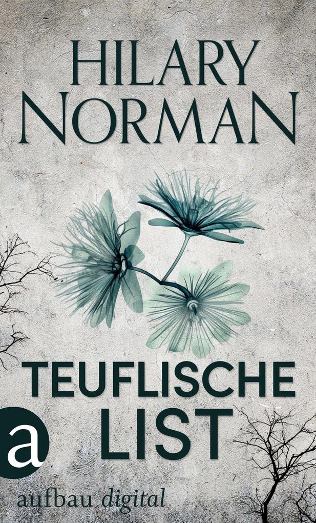 Produktbild: Teuflische List | Hilary Norman
