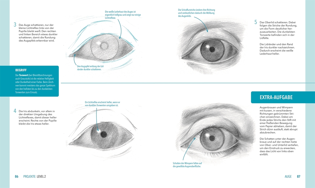 Weitere Ansicht: Zeichnen lernen - Strich für Strich