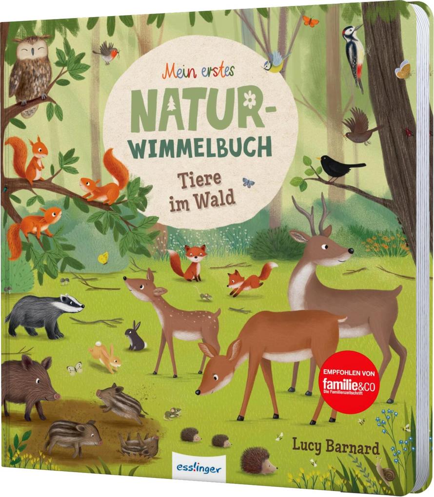 Weitere Ansicht: Mein erstes Natur-Wimmelbuch: Tiere im Wald | Sibylle Schumann