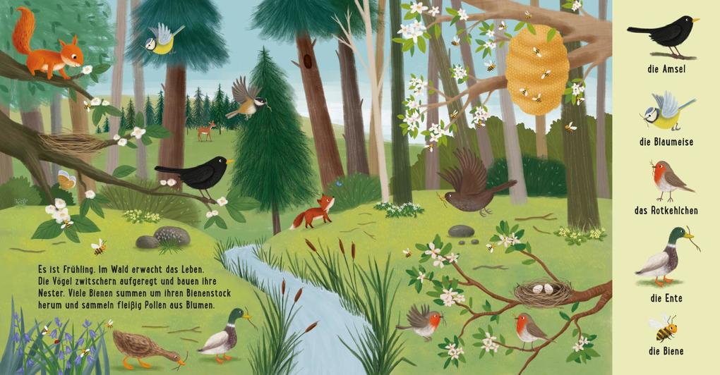 Weitere Ansicht: Mein erstes Natur-Wimmelbuch: Tiere im Wald | Sibylle Schumann