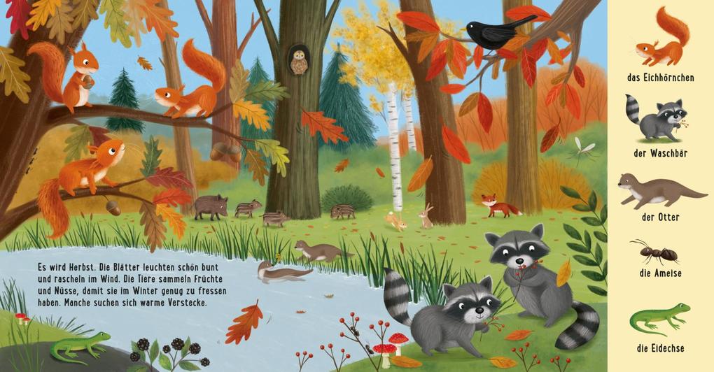 Weitere Ansicht: Mein erstes Natur-Wimmelbuch: Tiere im Wald | Sibylle Schumann