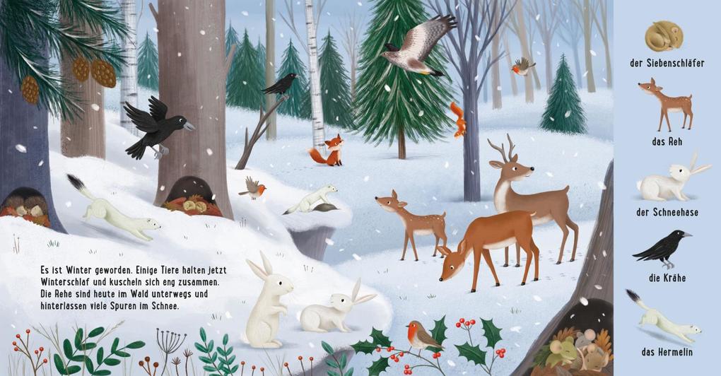 Weitere Ansicht: Mein erstes Natur-Wimmelbuch: Tiere im Wald | Sibylle Schumann