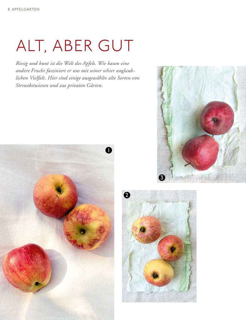 Weitere Ansicht: Apfelgarten | Barbara Haiden, Ulrike Köb