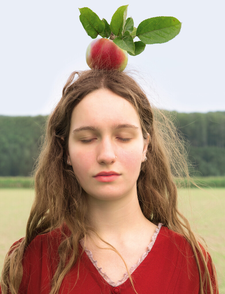 Weitere Ansicht: Apfelgarten | Barbara Haiden, Ulrike Köb