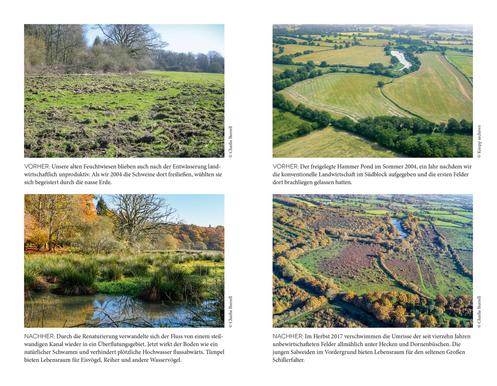 Weitere Ansicht: Wildes Land | Isabella Tree