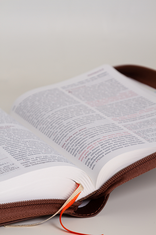 Weitere Ansicht: Neues Leben. Die Bibel, Standardausgabe, ital. Kunstleder mit Reißverschluss