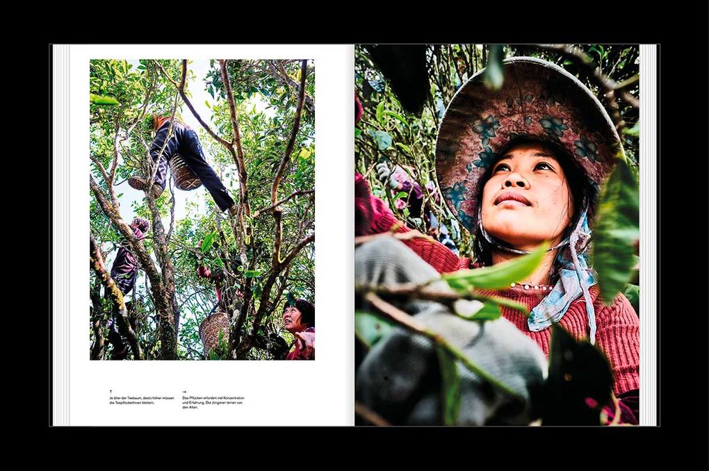 Weitere Ansicht: TEATRIP | Christian Beck