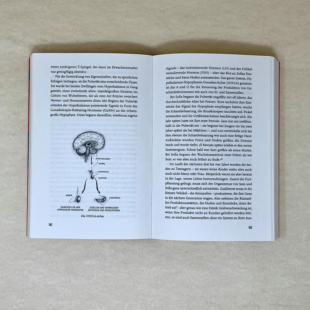 Weitere Ansicht: T wie Testosteron | Carole K. Hooven