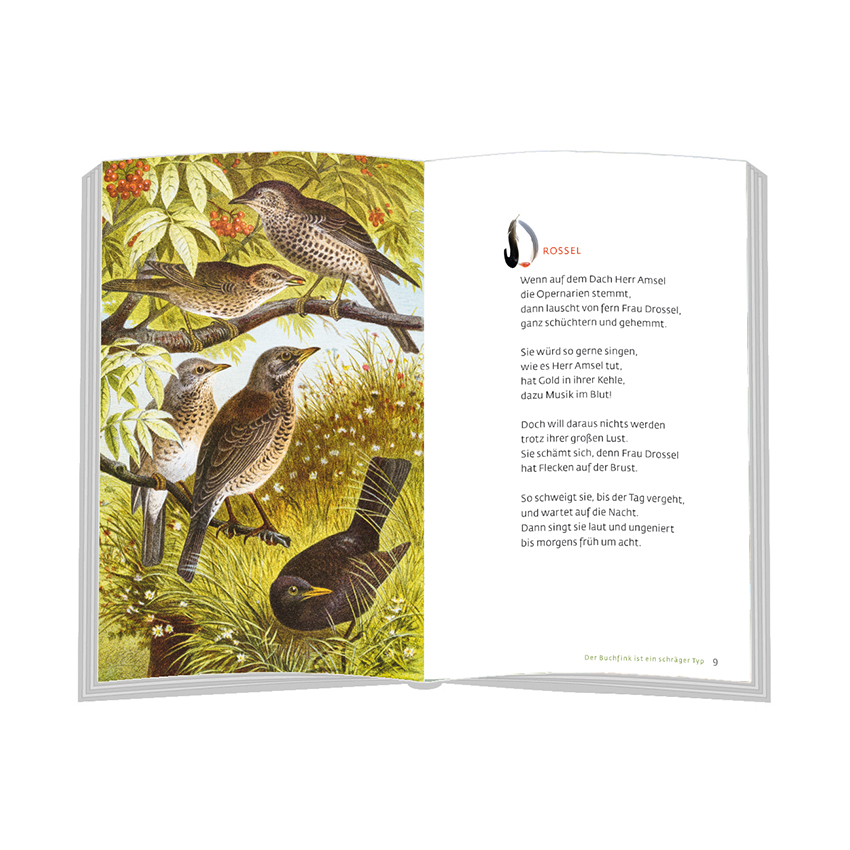 Weitere Ansicht: Der Buchfink ist ein schräger Typ | Jörn Heller