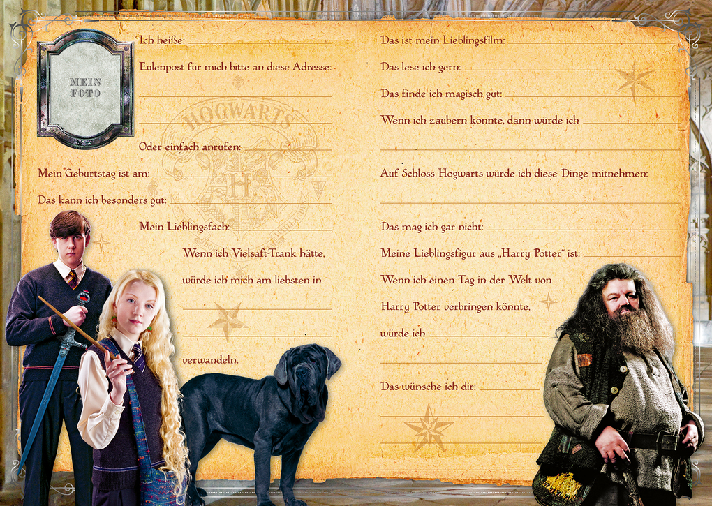 Weitere Ansicht: Harry Potter: Meine Freunde | Panini