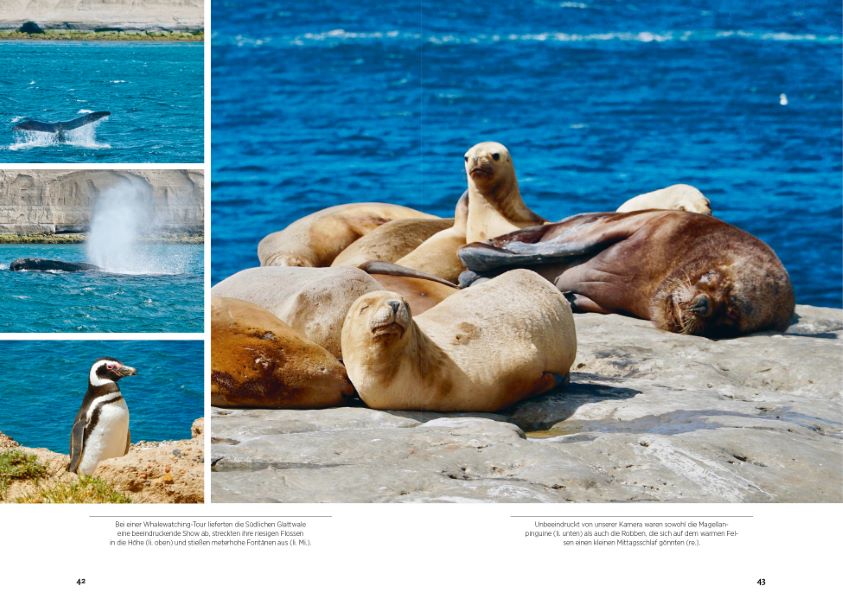 Weitere Ansicht: Irgendwann ist irgendwann zu spät | Armin & Marco Thalhofer, Armin Thalhofer, Marco Thalhofer