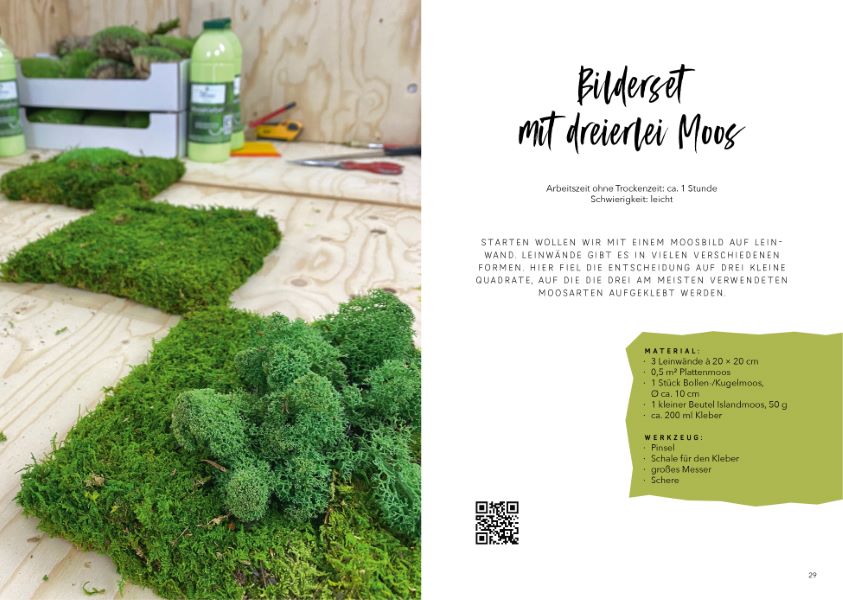 Weitere Ansicht: Moosbilder gestalten | Sven Job