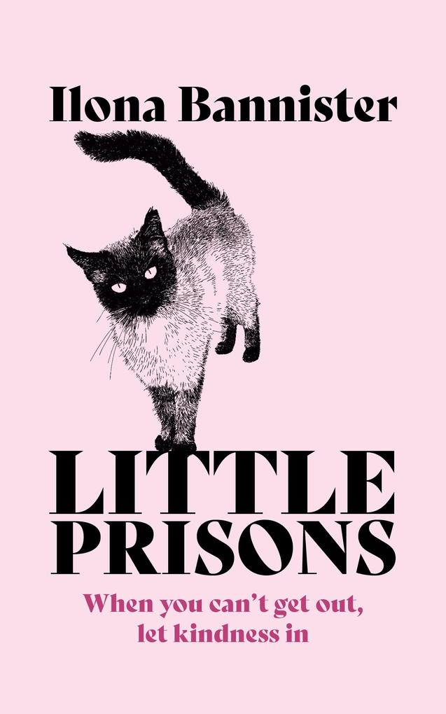 Produktbild: Little Prisons | Ilona Bannister