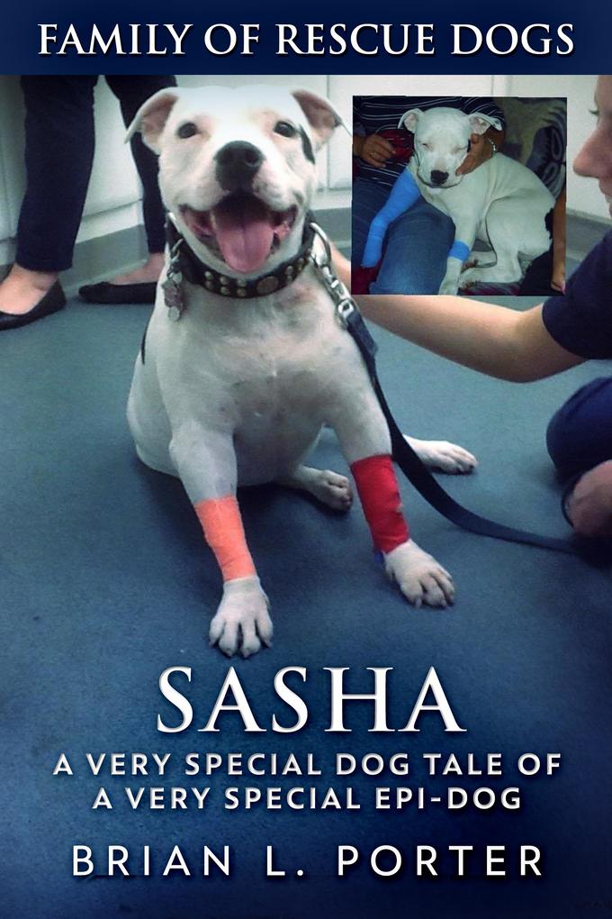 Produktbild: Sasha | Brian L. Porter