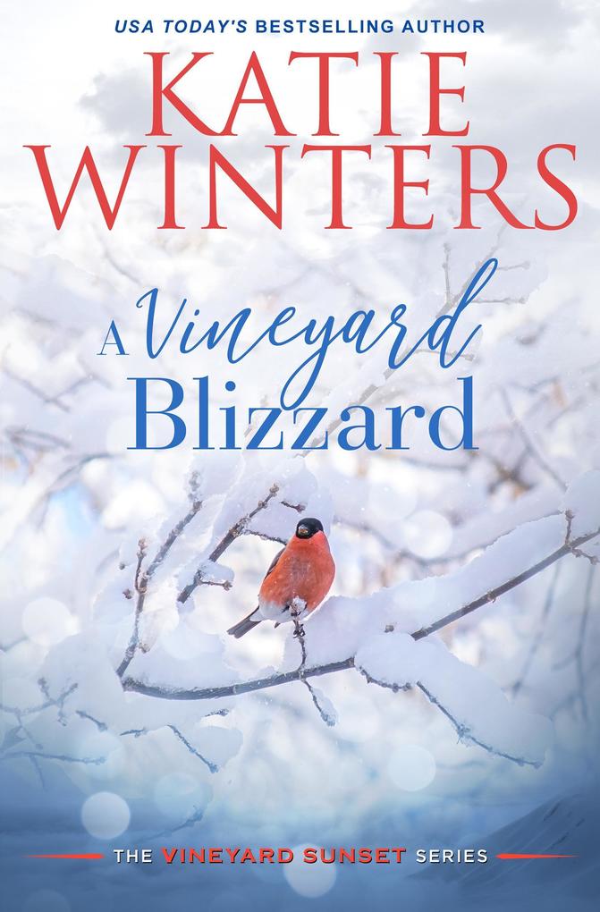 Produktbild: A Vineyard Blizzard | Katie Winters