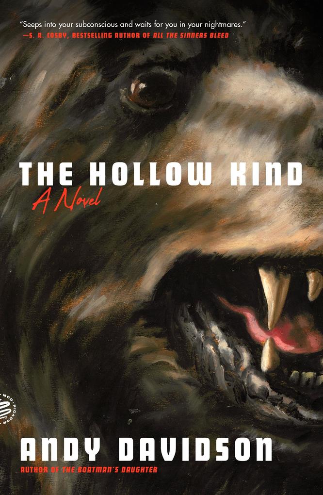 Produktbild: The Hollow Kind | Andy Davidson