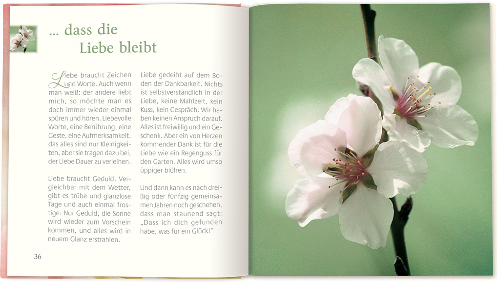 Weitere Ansicht: ... dass die Liebe bleibt | Ruth Rau