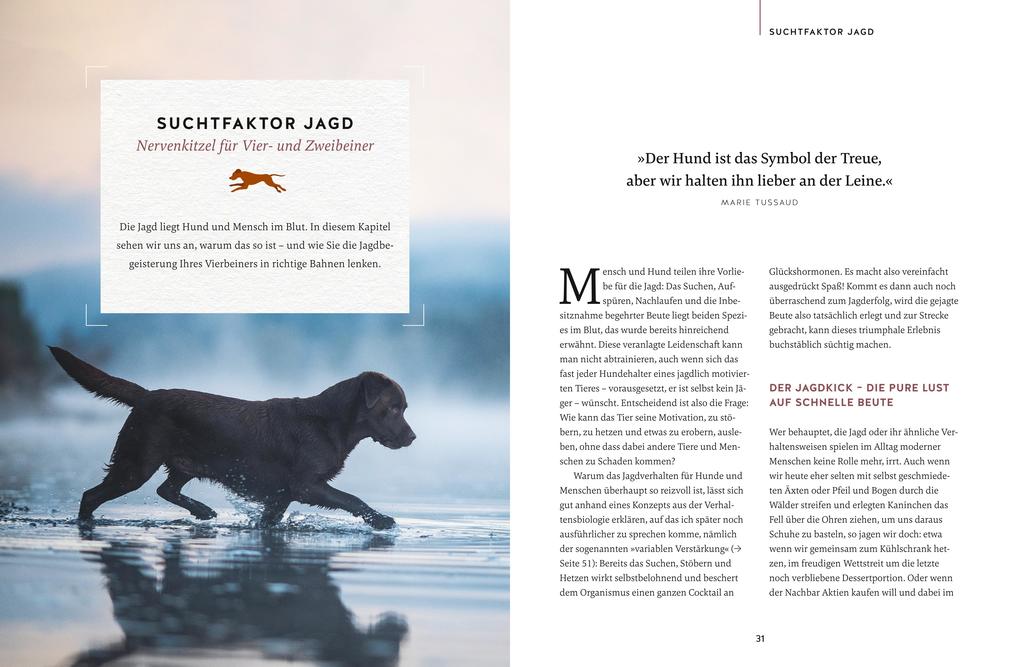 Weitere Ansicht: Nie mehr Stress mit meinem jagenden Hund | Alexandra Wischall-Wagner