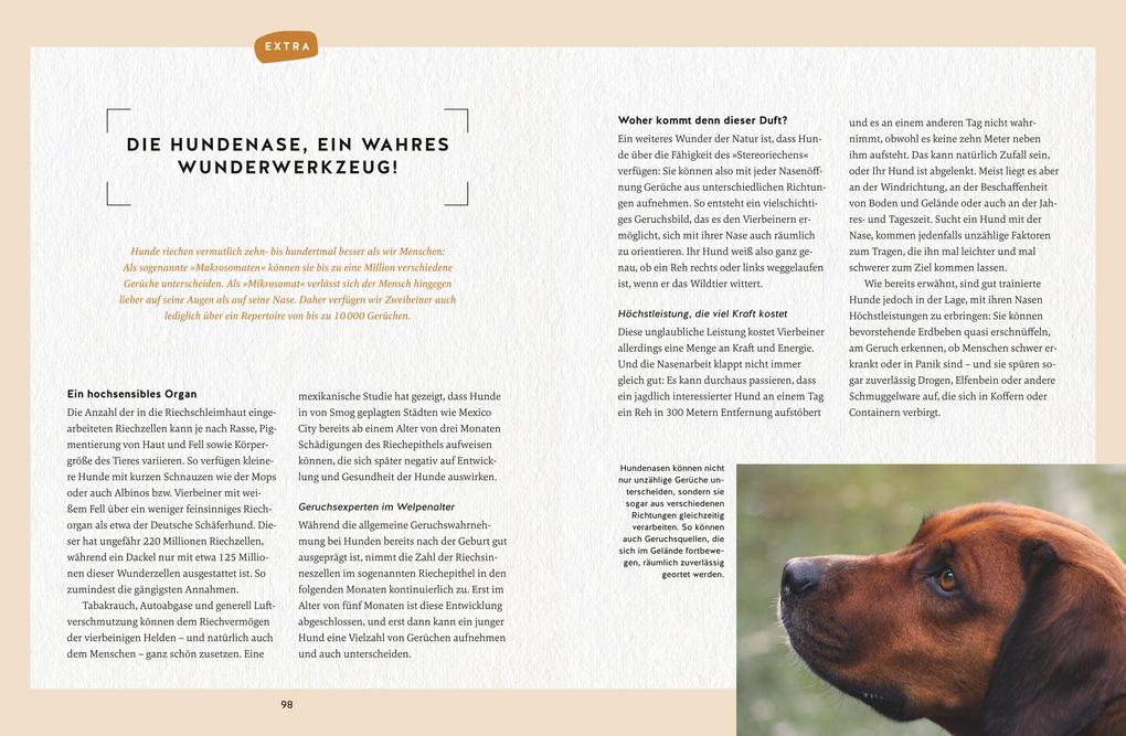 Weitere Ansicht: Nie mehr Stress mit meinem jagenden Hund | Alexandra Wischall-Wagner