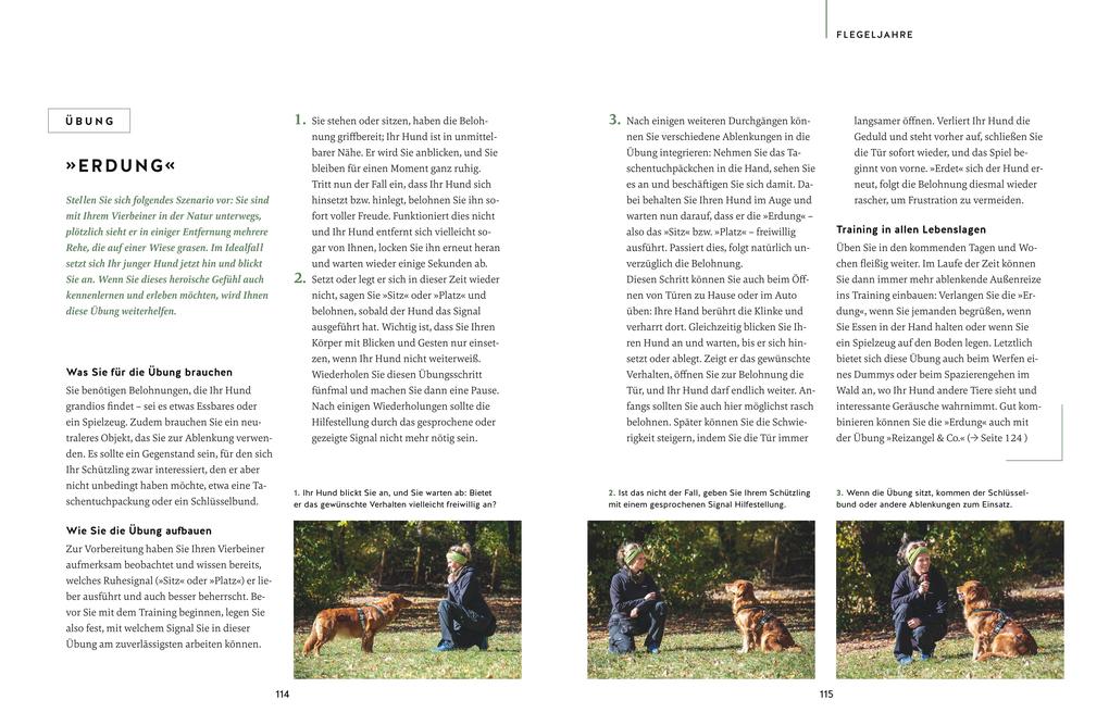 Weitere Ansicht: Nie mehr Stress mit meinem jagenden Hund | Alexandra Wischall-Wagner
