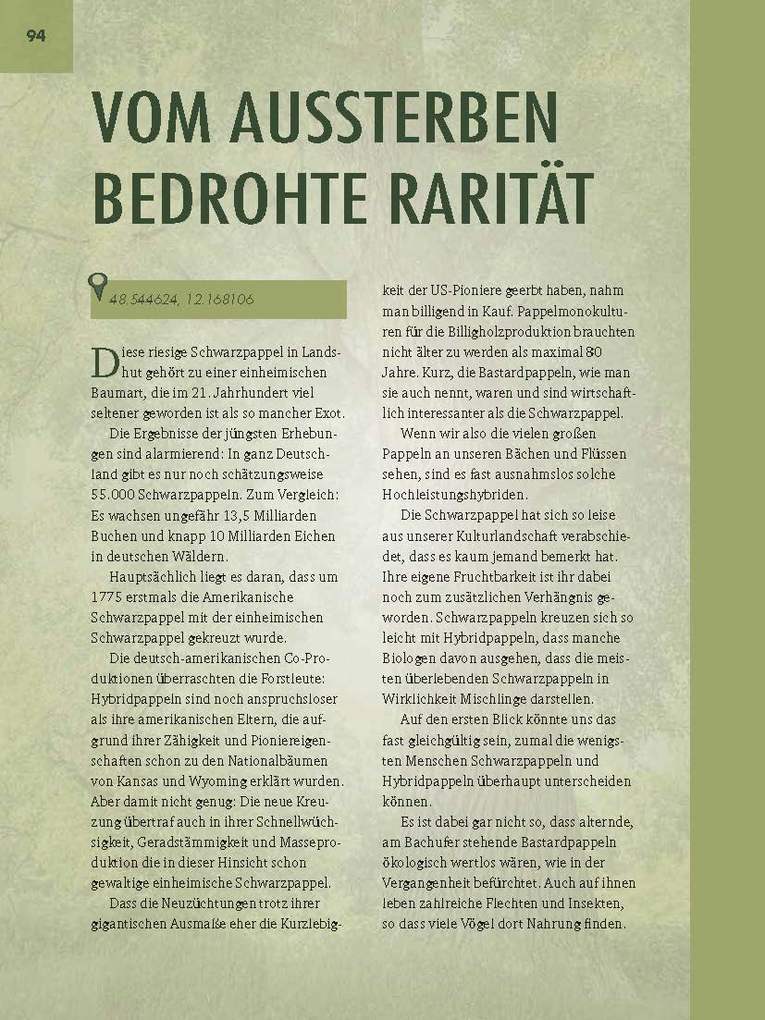 Weitere Ansicht: Faszinierende Bäume in Niederbayern | Jürgen Schuller