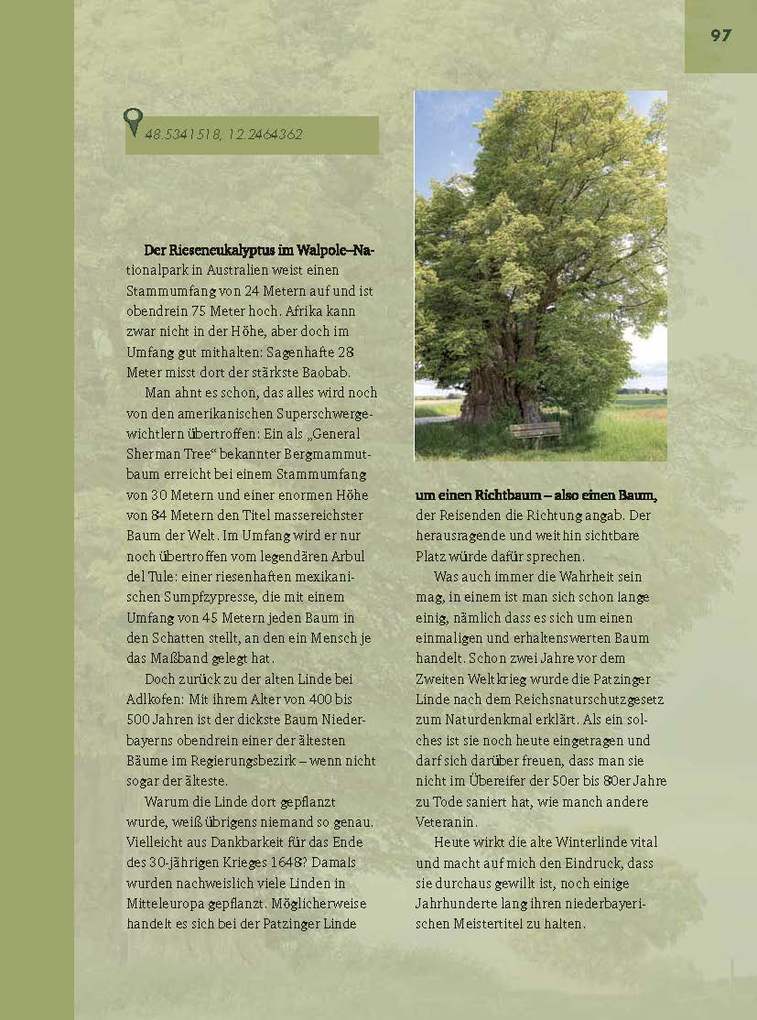 Weitere Ansicht: Faszinierende Bäume in Niederbayern | Jürgen Schuller