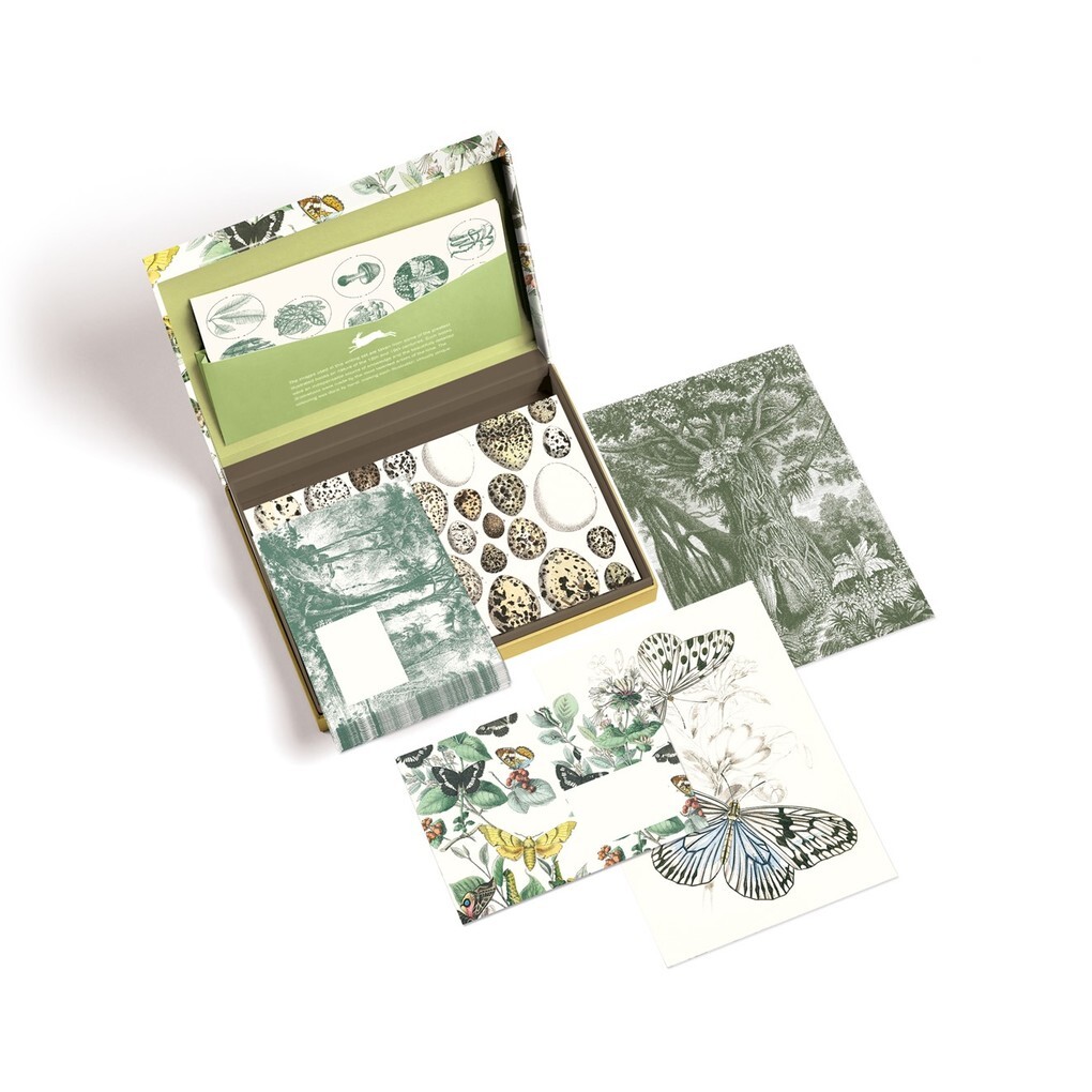 Weitere Ansicht: Natural History | Pepin van Roojen