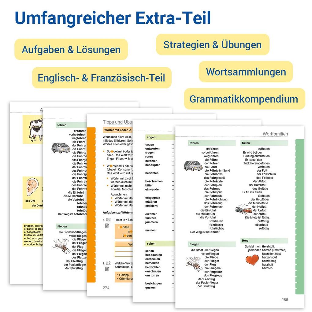 Weitere Ansicht: Das Wörterbuch für die Grundschule | Edmund Wetter, Ute Wetter