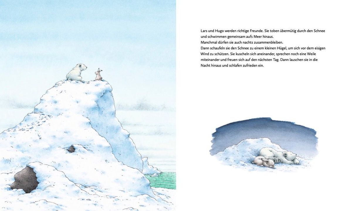 Weitere Ansicht: Kleiner Eisbär - Lars und der Angsthase | Hans de Beer