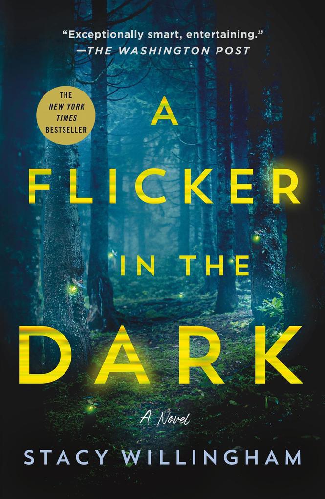 Produktbild: Flicker in the Dark | Stacy Willingham