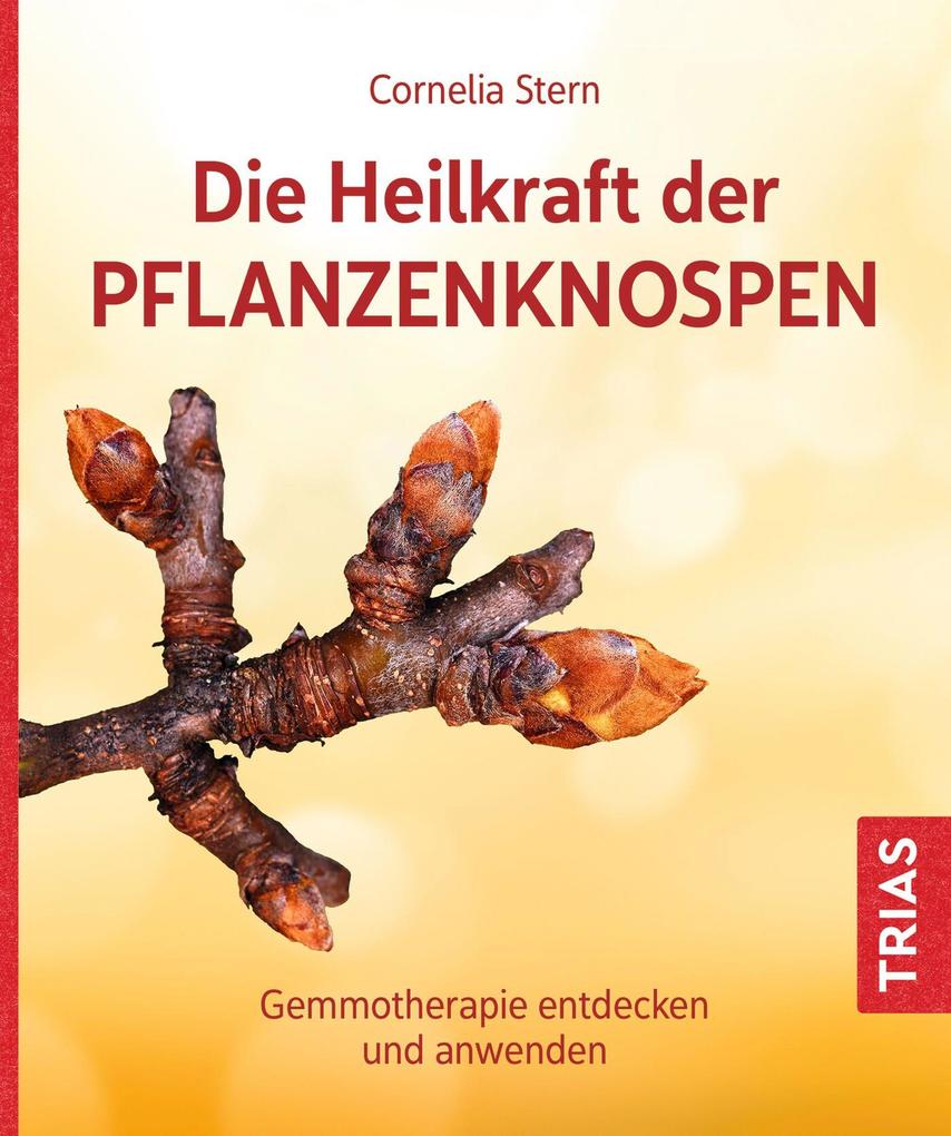 Produktbild: Die Heilkraft der Pflanzenknospen | Cornelia Stern