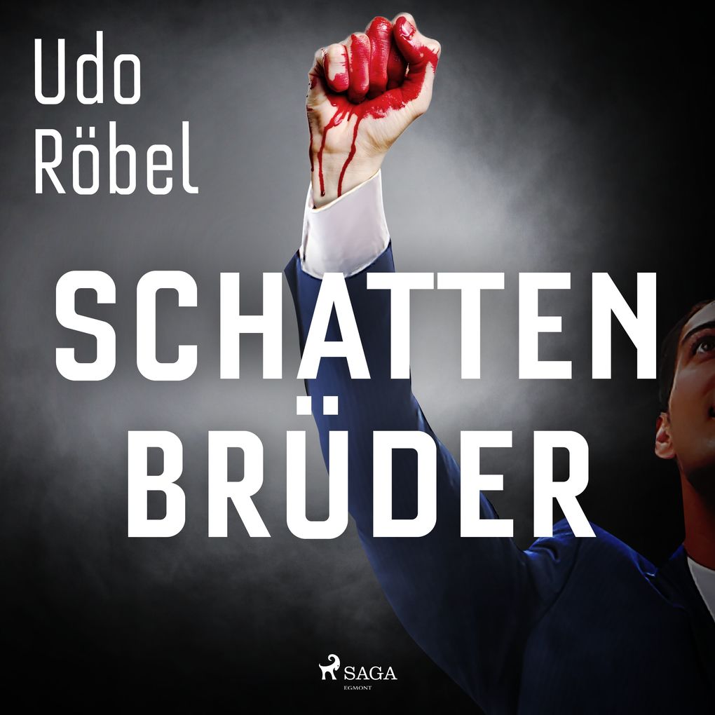 Produktbild: Schattenbrüder | Udo Röbel