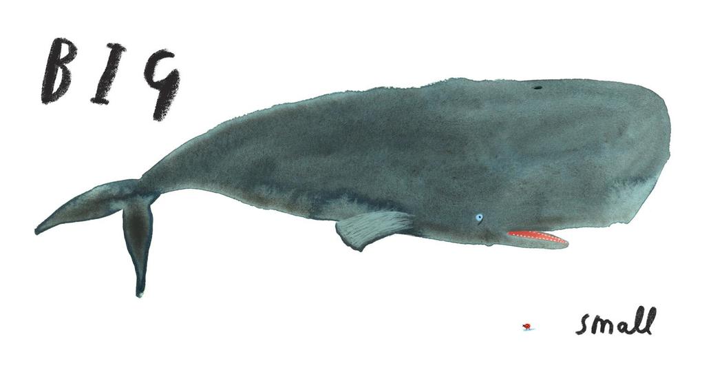 Weitere Ansicht: Book of Opposites | Oliver Jeffers