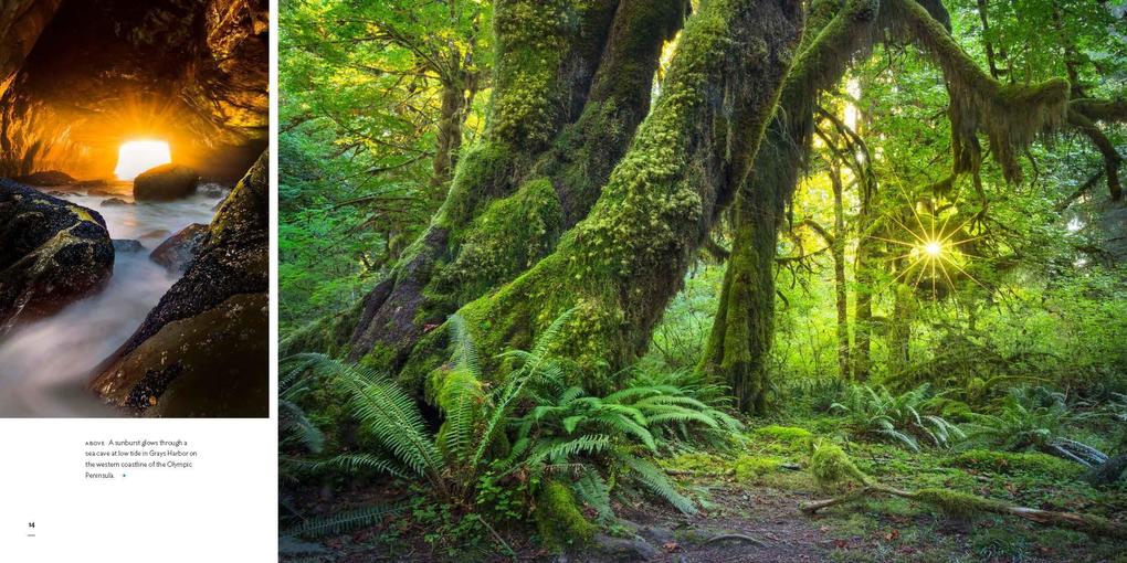 Weitere Ansicht: Washington, Evergreen | Photo Cascadia