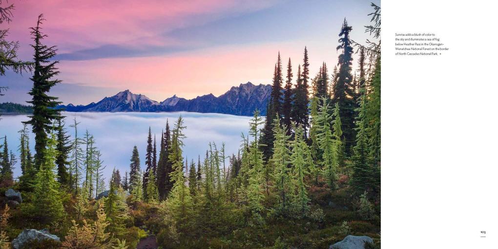 Weitere Ansicht: Washington, Evergreen | Photo Cascadia