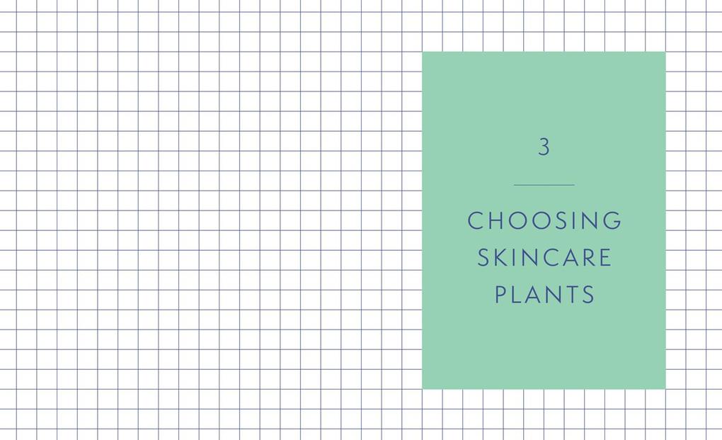 Weitere Ansicht: Natural Skincare For All Seasons | Silvana de Soissons