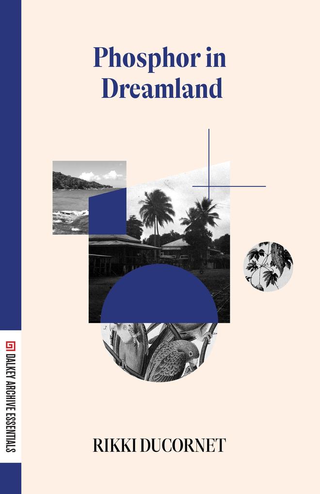 Produktbild: Phosphor in Dreamland | Rikki Ducornet