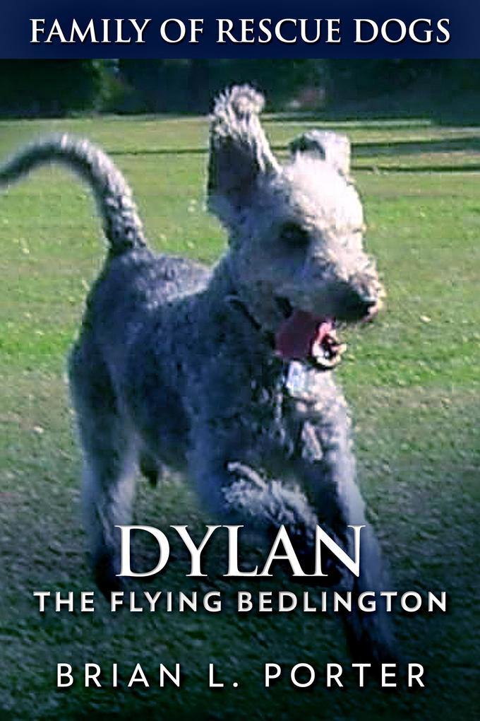 Produktbild: Dylan | Brian L. Porter
