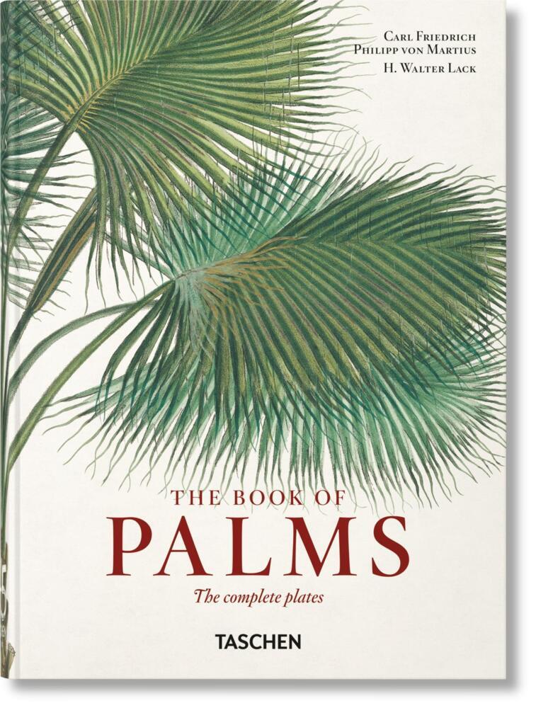 Produktbild: Martius. The Book of Palms | H. Walter Lack