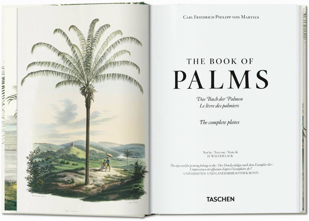 Weitere Ansicht: Martius. The Book of Palms | H. Walter Lack